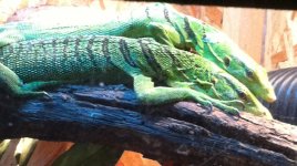 IMG_0332.jpg