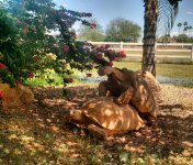 IMG_20160507_093807.jpg