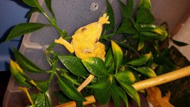20161229_162444.jpg