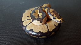 20160926_164847.jpg