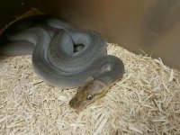 IMG_1164.JPG