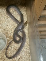 IMG_1162.JPG