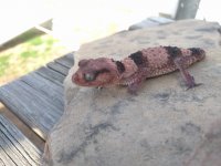 IMG_20170223_100004.jpg