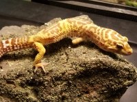20161215_154739.jpg