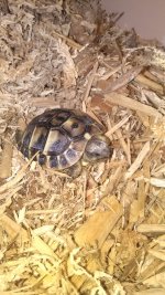 IMG_20161207_210523.jpg