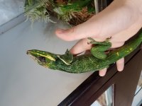 20161025_134358.jpg
