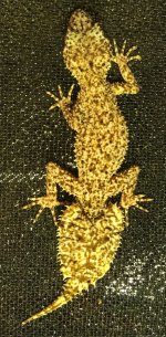 IMG_3986.jpg