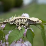 IMG_20160505_211708.jpg