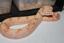 IMG_2885.jpg
