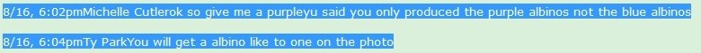 test.jpg