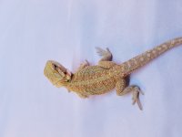20170308_143110.jpg