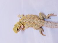 20170308_114734.jpg