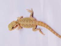 20170308_115038.jpg