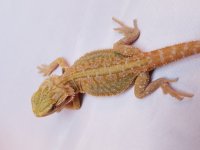 20170307_114731.jpg