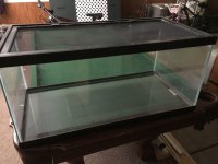 IMG_0908.jpg