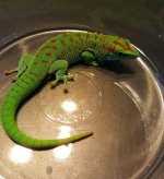 20170414_101150.jpg