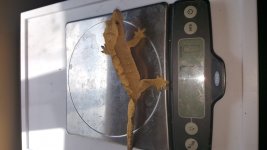 20160821_114558.jpg