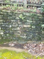 IMG_20170430_164700.jpg