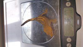 20160821_114705.jpg