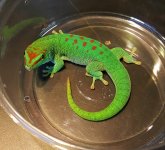 20170414_100831.jpg