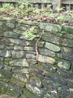 IMG_20170430_164900.jpg