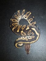 20170309_165954.jpg
