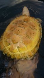 IMG-20170129-WA0021.jpg