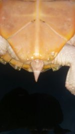 IMG-20170129-WA0022.jpg