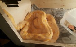 VZM.IMG_20170127_211721.jpg