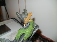 DSCN8028.jpg