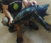 IMG_20170301_113626.jpg