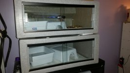 20161106_185517.jpg