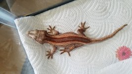 20170501_121035.jpg