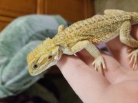 20161003_201054.jpg