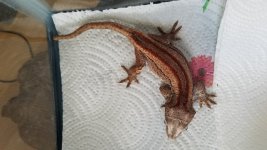 20170501_121016.jpg