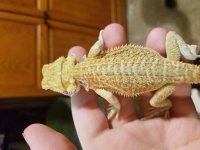 20161003_201106.jpg
