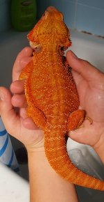 20160828_164134.jpg
