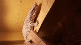 20170314_205456.jpg