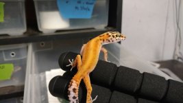 IMG_20170131_135540851.jpg