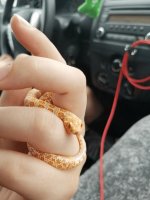 20170601_120238.jpg