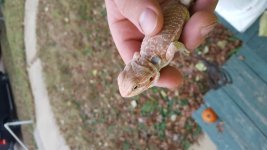20161117_162029.jpg