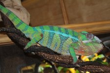 IMG_4200.jpg