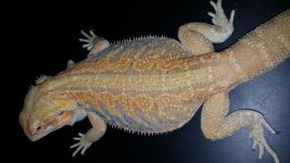 20161029_111531.jpg