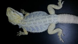20161029_111342.jpg