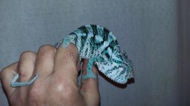 20170430_141828.jpg