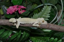 DSC_0074.jpg