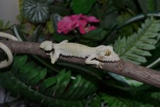 DSC_0070.jpg