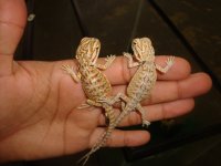 DSC05844.jpg