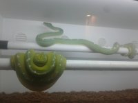 20170303_192819.jpg