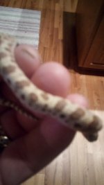 IMG_20170601_204643.jpg